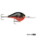【3点購入で最大P28倍!】ラパラ・ジャパン ルアー DT4 9g RCW【メール便】(4)