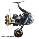 【楽天スーパーSALE!!エントリー&3点購入で最大P28倍!】ダイワ スピニングリール ソルティガ 8000-P 25年モデル スピニングリール