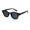 ダンシェイディーズ 偏光グラス SELECT Black Soft×Black Polarized