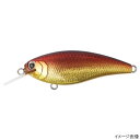 【3点購入で最大P28倍!】ボトムアップ ルアー リズィー PL007 バーニングシャッド【メール便】