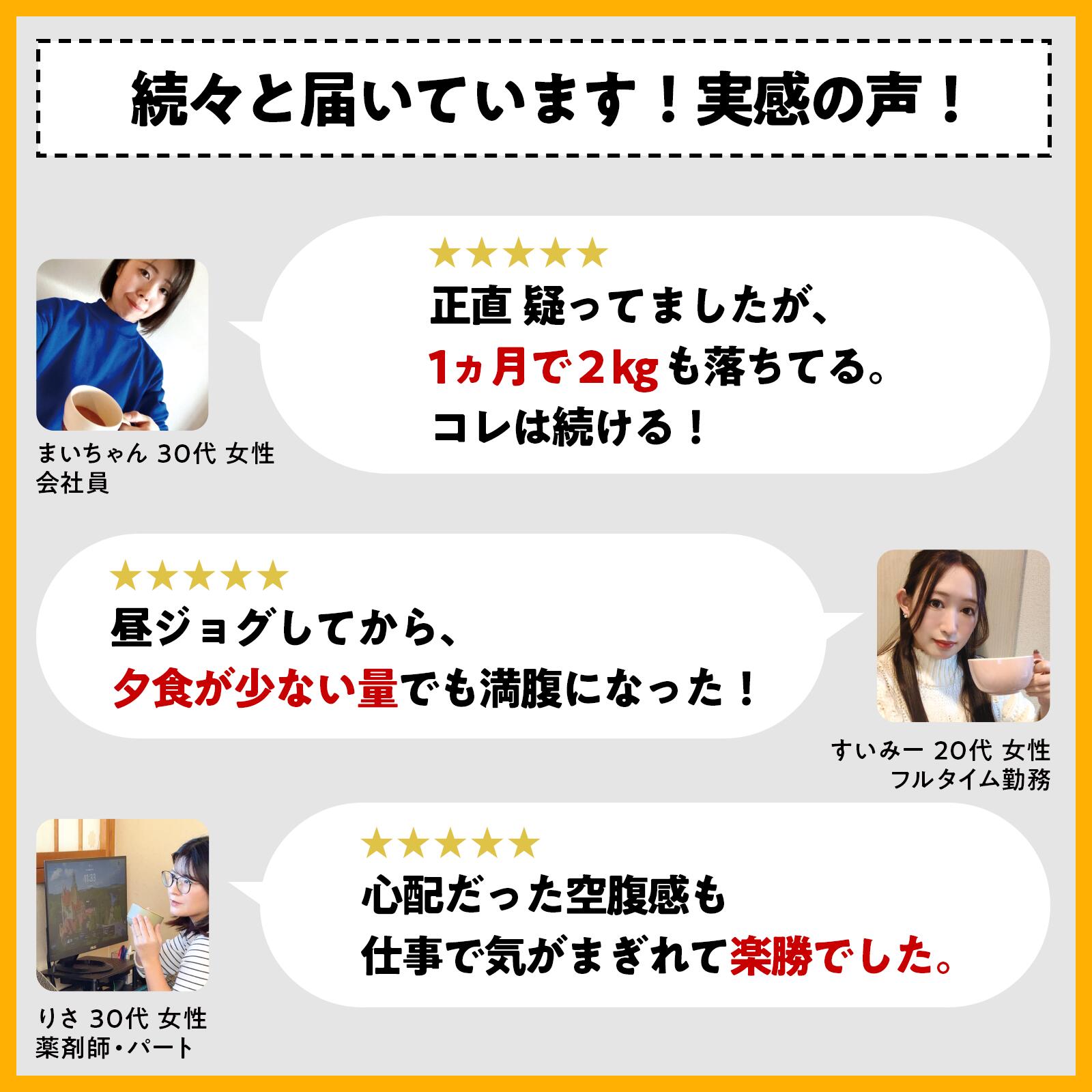 【新商品】昼ジョグ 1.5か月 12回分 置き換えダイエット 継続用 まとめ買い ストッ...