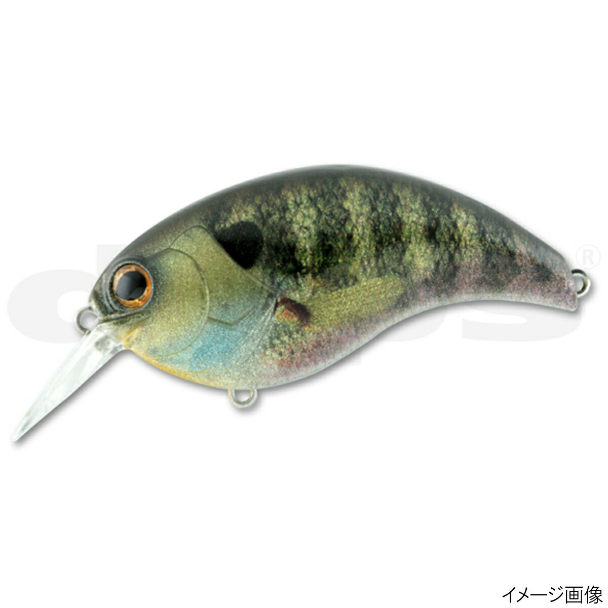 【お買い物マラソン！3点購入でP最大28倍！】デプス ルアー イヴォーク 3.0 #01リアルブルーギル