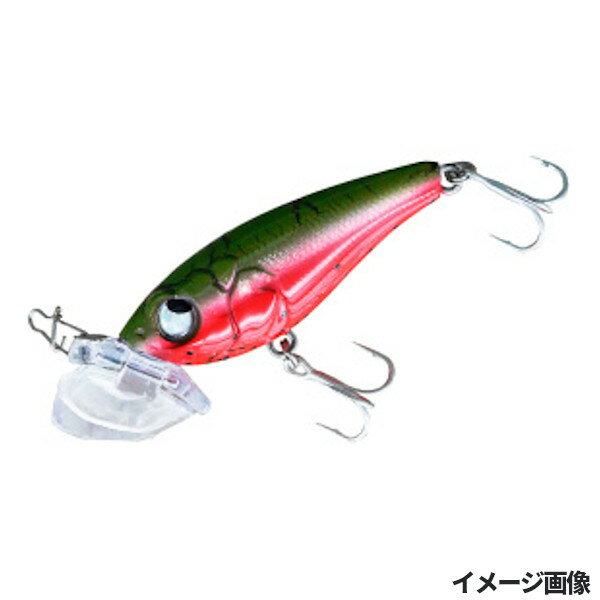 【スーパーSALE！3点購入で最大P26倍！】ルーディーズ ルアー バグバグチヌ サマースイカ【ゆうパケット】