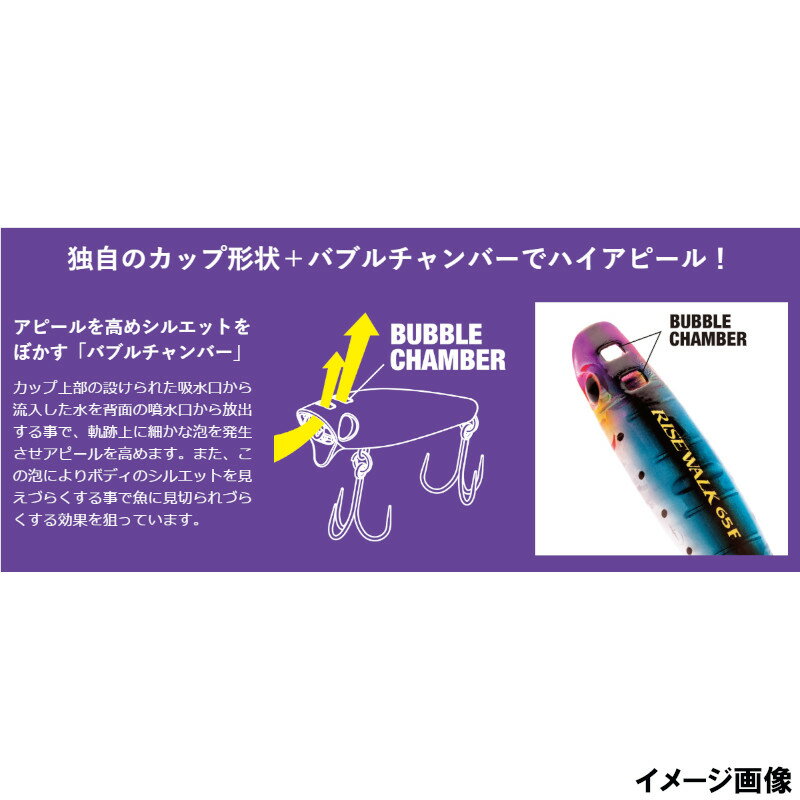 ライズウォーク 65F キョウリンボラ (2)