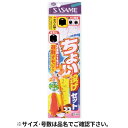 【衝撃!4点購入で最大1万ポイント!】ささめ針 ちょい投げセット遊動オモリ K−008 針11号−ハリス3号【ゆうパケット】