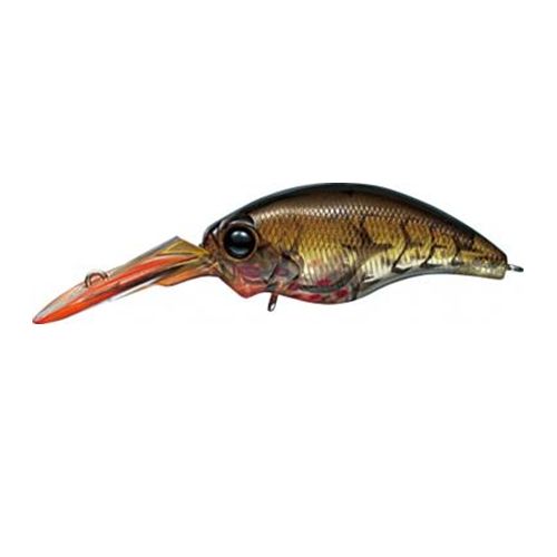 エバーグリーン（EVERGREEN） ルアー EG）ワイルドハンチ＃81