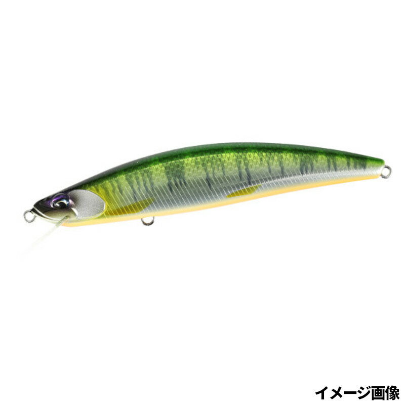 Minnow Plug - 【現品限り】 DUO ルアー 鬼鱒 正影 110F 追河【ゆうパケット】