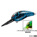 【衝撃!4点購入で最大1万ポイント!】ダイワ ルアー ラトリンタイニーワイルドピーナッツ ミステリークレイフィッシュ【ゆうパケット】
