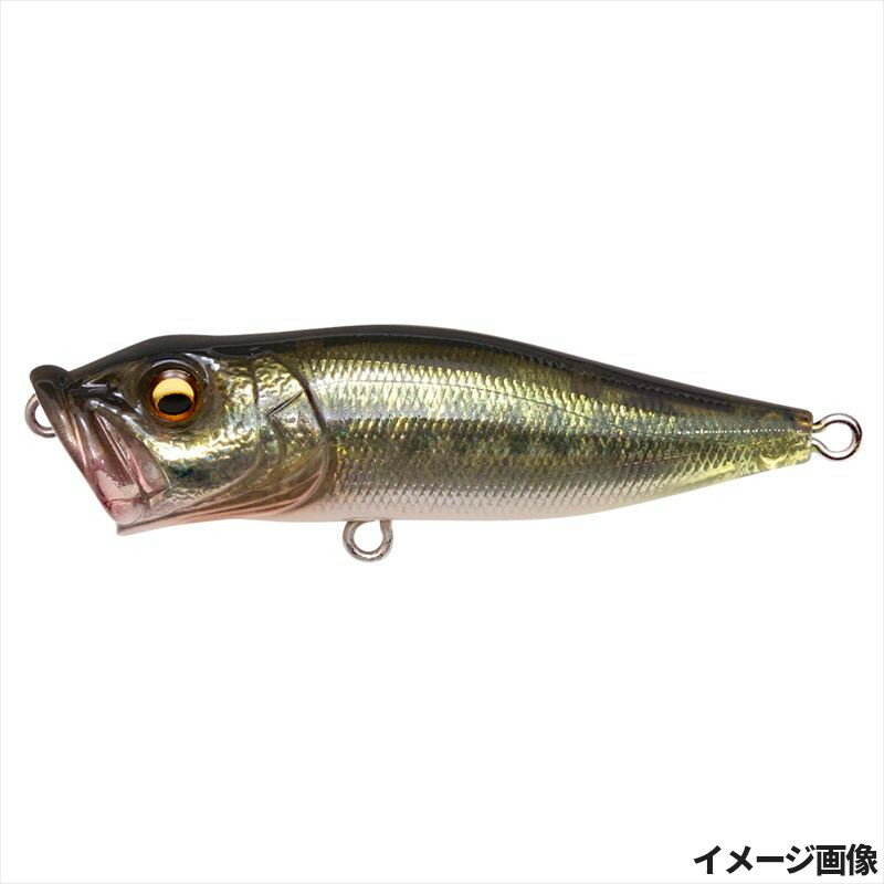 バス釣りのワームはゲーリーヤマモトしか勝たん | 茨城 週末 バス釣りのワームはゲーリーヤマモトしか勝たん | 茨城 週末