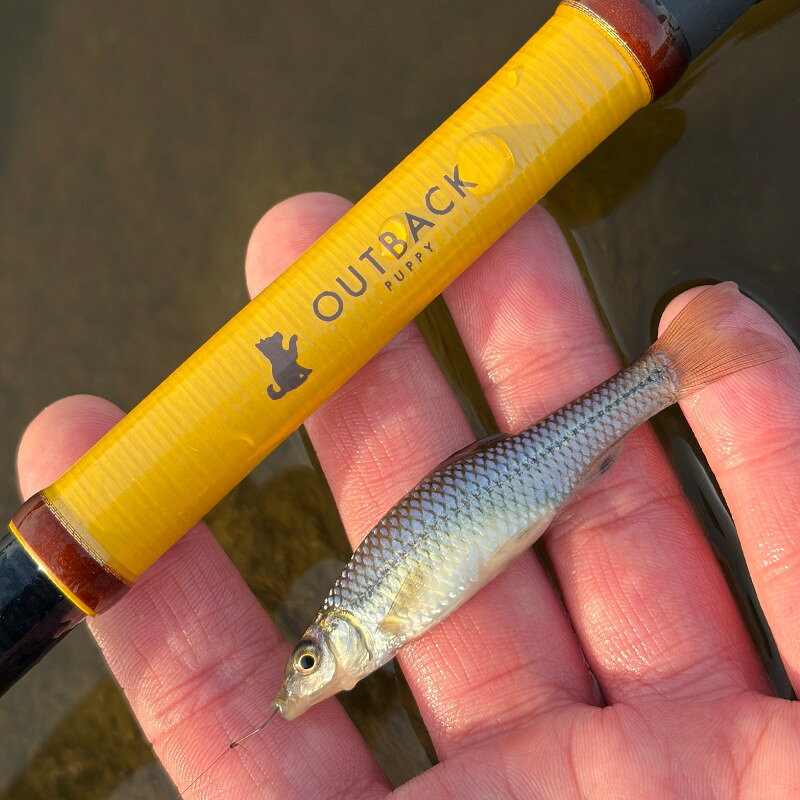 アウトバック パピー S50L-T の商品画像3枚目
