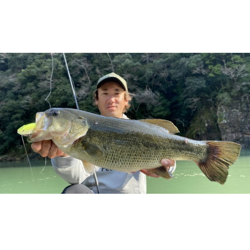 【スーパーSALE！3点購入で最大P26倍！】DSTYLE ルアー ヴィローラスイムベイト145 ワカサギPTD