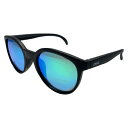 ダンシェイディーズ 偏光グラス FLOATY B Black Matte×Green Mirror Polarized