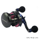 ダイワ ソルティガ BJ 100PL-RM 左ハンドル ダイワ ソルティガ BJ 100PL-RM 左ハンドル
