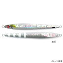 剣屋 ジグ 一徹ジグ 125g 銀虎(4)