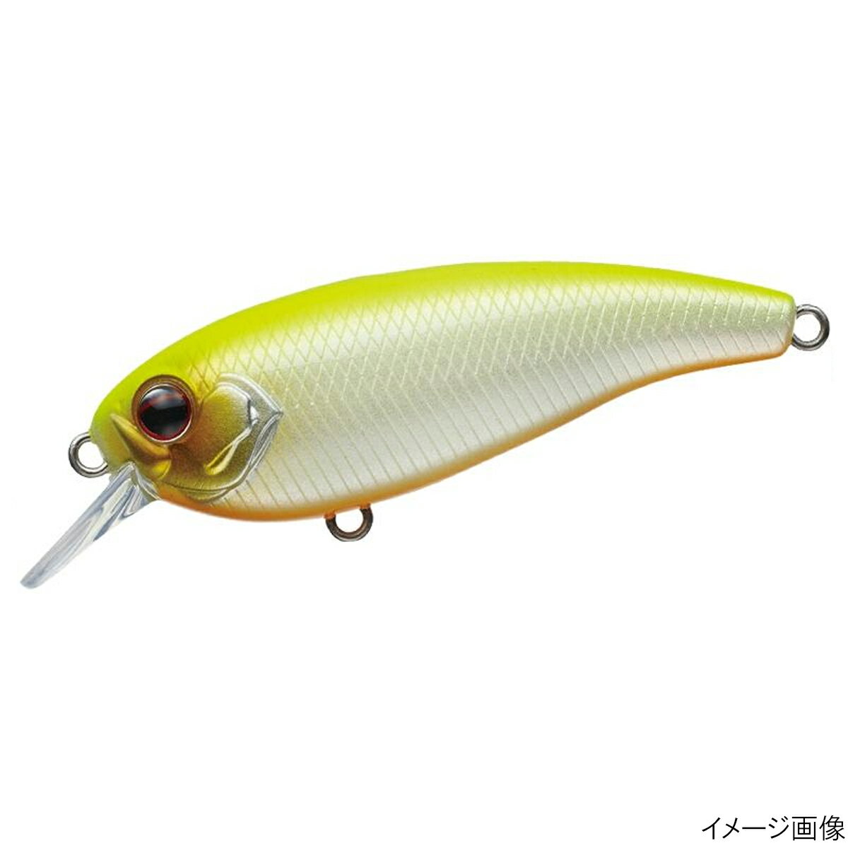 【5日限定!3点購入で最大5000p!】エバーグリーン(EVERGREEN) ルアー コンバットルアーズ ベルカント #602 ビッグバイトチャート【ゆうパケッ...