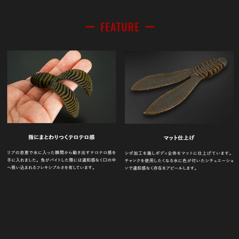 【スーパーSALE！3点購入で最大P26倍！】ジャッカル ワーム リビングバニー 3.8インチ ストレートブラック【ゆうパケット】