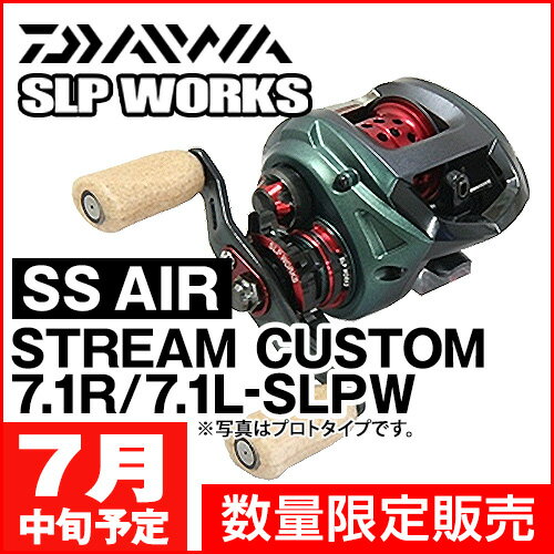 選べる配送時期 激レア希少 SLP Works SS エアーストリームカスタム
