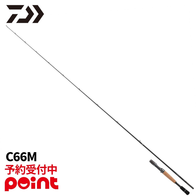 楽天市場】ダイワ スティーズ スカイフラッシュ66の通販