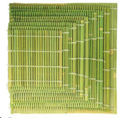 ■サイズ：約35.8×36.5cm■材質：竹、綿糸*和セイロ用の竹スダレです。