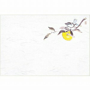 マイン 業務用 使い捨て テーブルマット 四季紙 千寿 39×26.5cm ゆず(10月-12月) 100枚入 M30-215