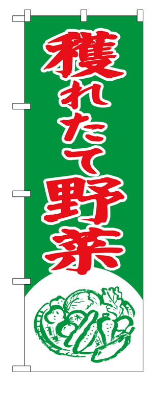 乐天商城 - のぼり屋工房 のぼり旗 2247 穫れたて野菜 (ポールなど付属なし)【送料無料】【メール便発送】