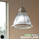 ペンダントライト 照明 アートワークスタジオ BISHOP ビショップ ペンダントランプ AW-0325 1灯 LED 吊り下げ E26 北欧 インダストリアル 西海岸 ビンテージ アメリカン ダイニング リビング かっこいい おしゃれ アルミ ブラック 4.5畳 6畳 ARTWORKSTUDIO