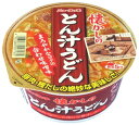 無料 懐かしのとん汁うどん 80g×24個