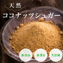 天然 ココナッツシュガー 1kg《送料無料》無添加 無精製 低GI 低糖質 天然糖 シュガー