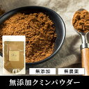 クミンパウダー 100g《送料無料》無