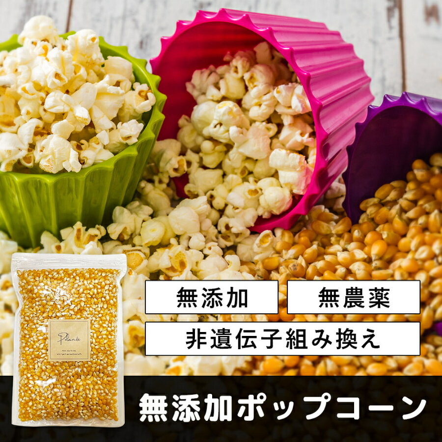 ポップコーン 900g 無添加 《送料無料》とうもろこし 豆 コーン 種 お菓子 おうちで簡単!