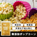 ポップコーン 900g 無添加 《送料無料》とうもろこし 豆 コーン 種 お菓子 おうちで簡単！