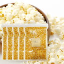 【5袋セット】ポップコーン 900g×5袋 無添加 大容量 業務用《送料無料》とうもろこし 豆 コーン 種 お菓子 おうちで簡単!