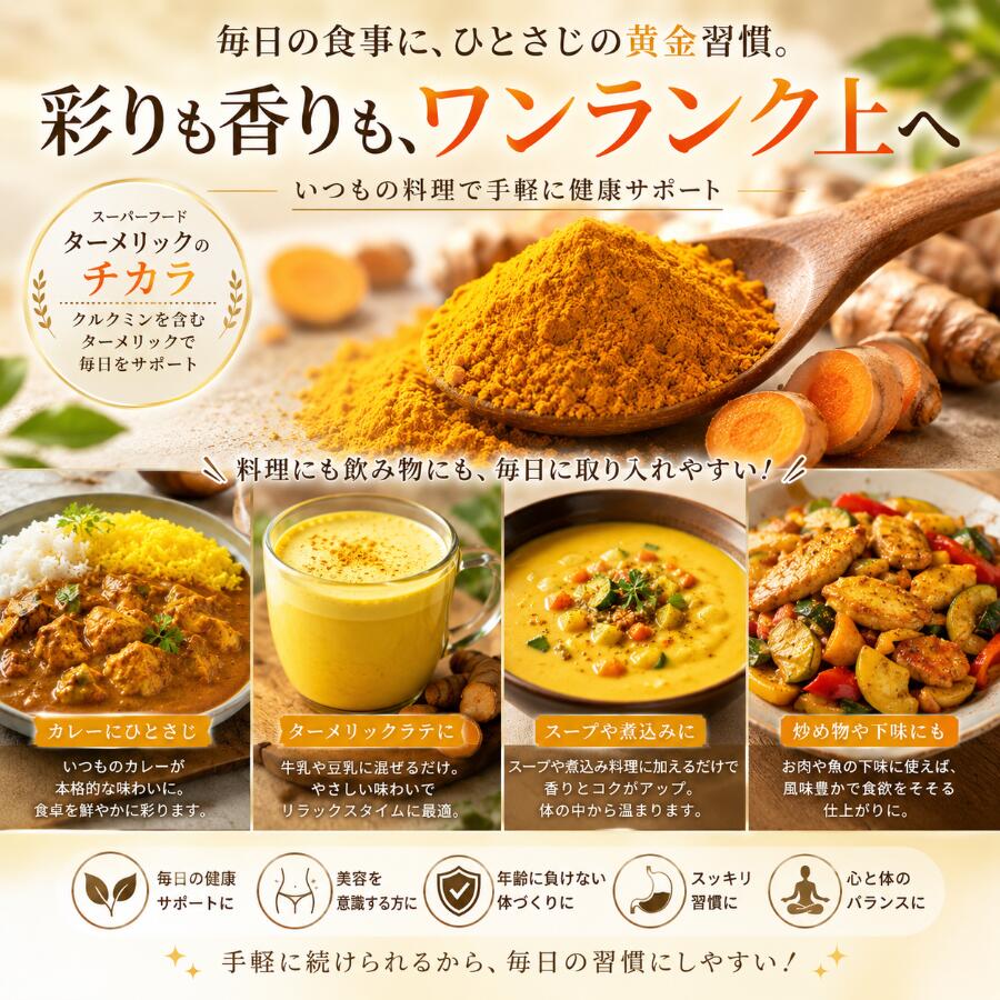 ターメリックパウダー 500g 無添加《送料無料》ターメリック ウコン ウコンパウダー スパイス ハーブ 香辛料 調味料 1000円 ポッキリ ポイント消化 2