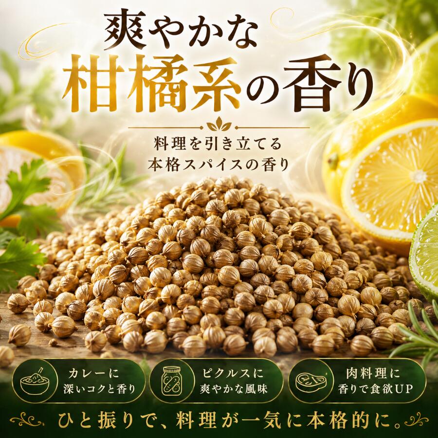 コリアンダーシード 250g 原型 ホール 無添加《送料無料》 コリアンダーシード コ...
