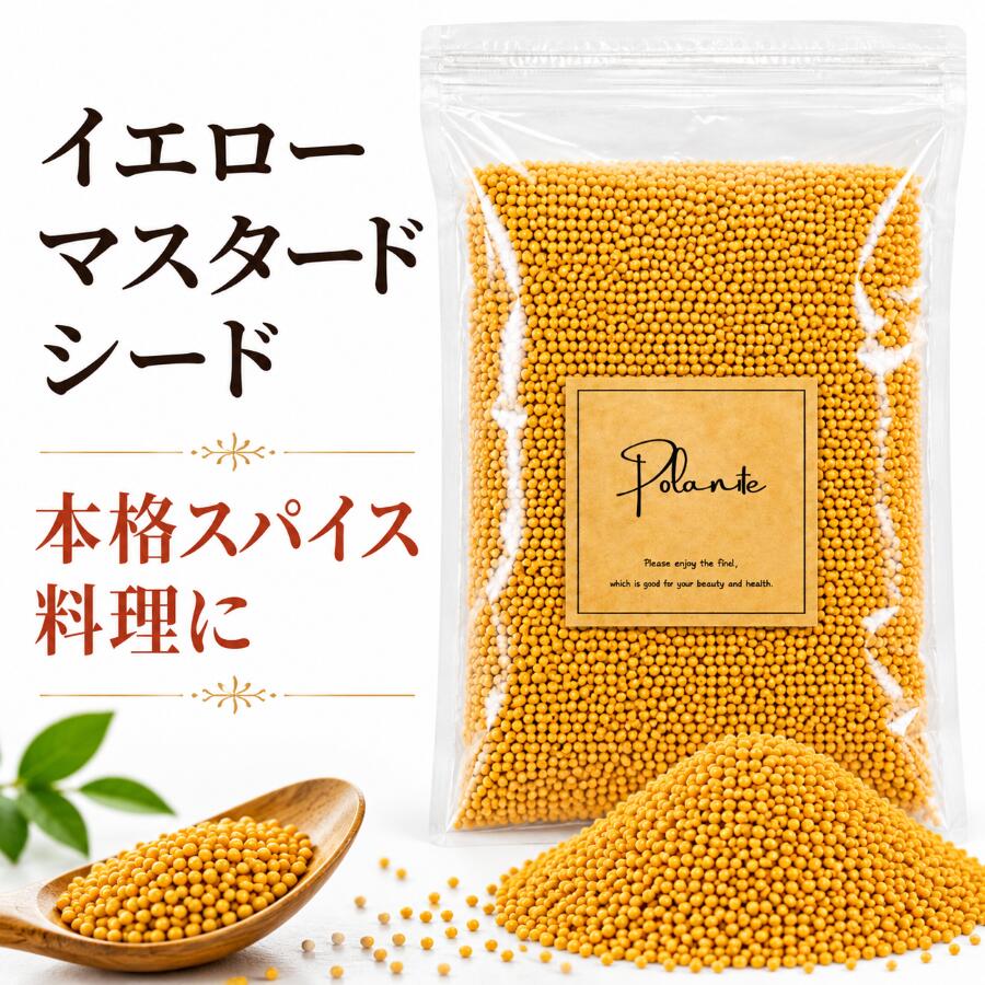 乐天商城 - イエローマスタードシード 400g 《送料無料》無添加 インド産 選別品 辛子 からし マスタード スパイス ハーブ 香辛料 調味料 1000円ぽっきり