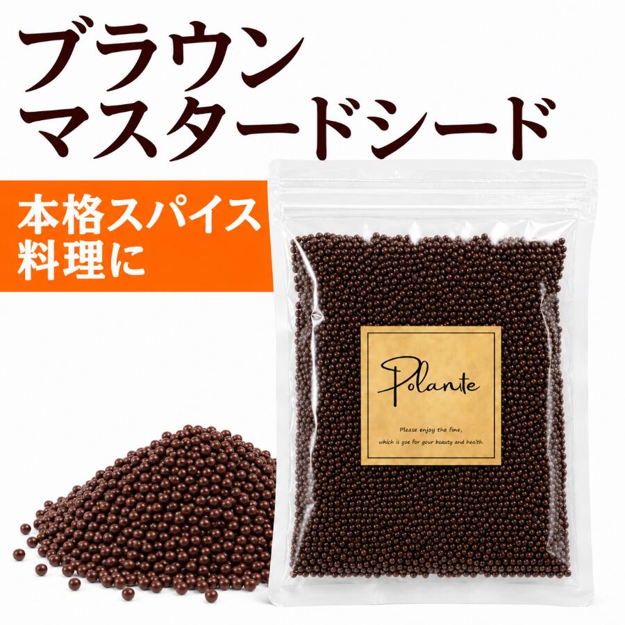 ブラウンマスタードシード 400g 《送料無料》無添加 インド産 選別品 辛子 からし マスタード スパイス ハーブ 香辛料 調味料 1000円ぽっきり