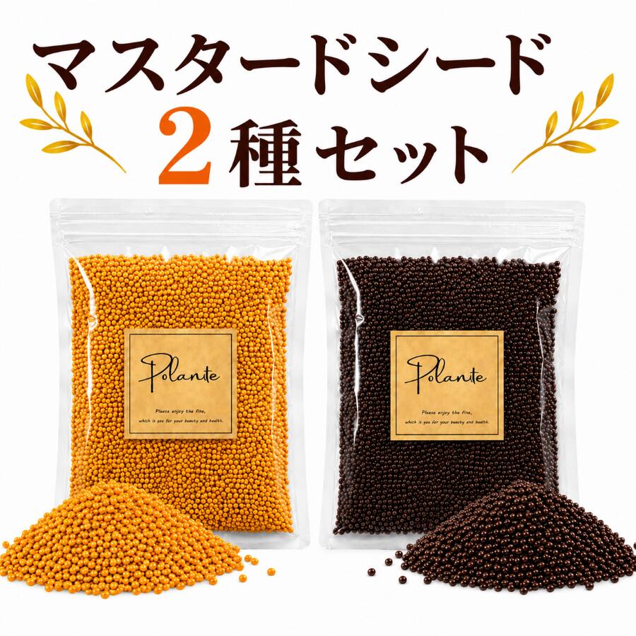 マスタードシード 2種セット/ブラウンマスタードシード 100g/イエローマスタードシード 100g 《送料無料》無添加 インド産 選別品 スパイス ハーブ 香辛料 調味料