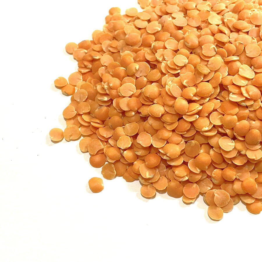 ���Ʀ ��ʤ� 500g������̵���ե�åɥ��ƥ��� �ޥ���������� lentil Ʀ �ޤ� ��̳��