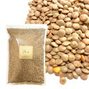 レンズ豆 皮付き 1kg《送料無料》業務用 大容量 マスールホール ブラウンレンティル 豆 まめ 業務用