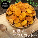 肉厚アプリコット 杏 500g《送料無料