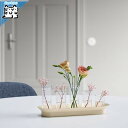 【 IKEA - イケア -】VATTENKRASSE -ヴァッテンクラッセ- 試験管花瓶セット クリアガラス アイボリー/ゴールドカラー (805.619.83)