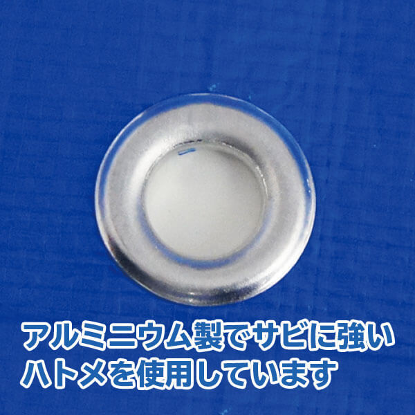 【まとめて10ケース】BS-30100100-10 ブルーシート #3000 厚手 青 10.0x10.0M 約60畳用 ハトメ数44個 1枚x2冊/ベールx10 1枚あたり8270.8円/レジャーシート 養生シート カバー 台風対策 防水 日よけ 敷物 花見 レジャー 送料無料 あす楽 サンキョウプラテック 即納