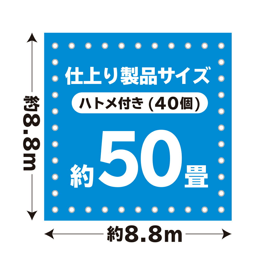 エントリーでP10倍★4日20:00〜11日1:59まで ブルーシート#3000 厚手 青 9.0x9.0M 1枚x2冊/ベール 約50畳用 ハトメ数40個 BS-309090 /作業シート 防水 レジャー 防災 アウトドア 野積みカバー 積荷カバー DIY 工事用 送料無料