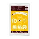 【バラ販売】FBB-10bara 規格袋 10号 0.025mm厚 透明 100枚 /ポリ袋 袋 保存袋 食品袋 平袋 食品用 検食 厨房 保育園 食品検査適合 RoHS指定 サンキョウプラテック