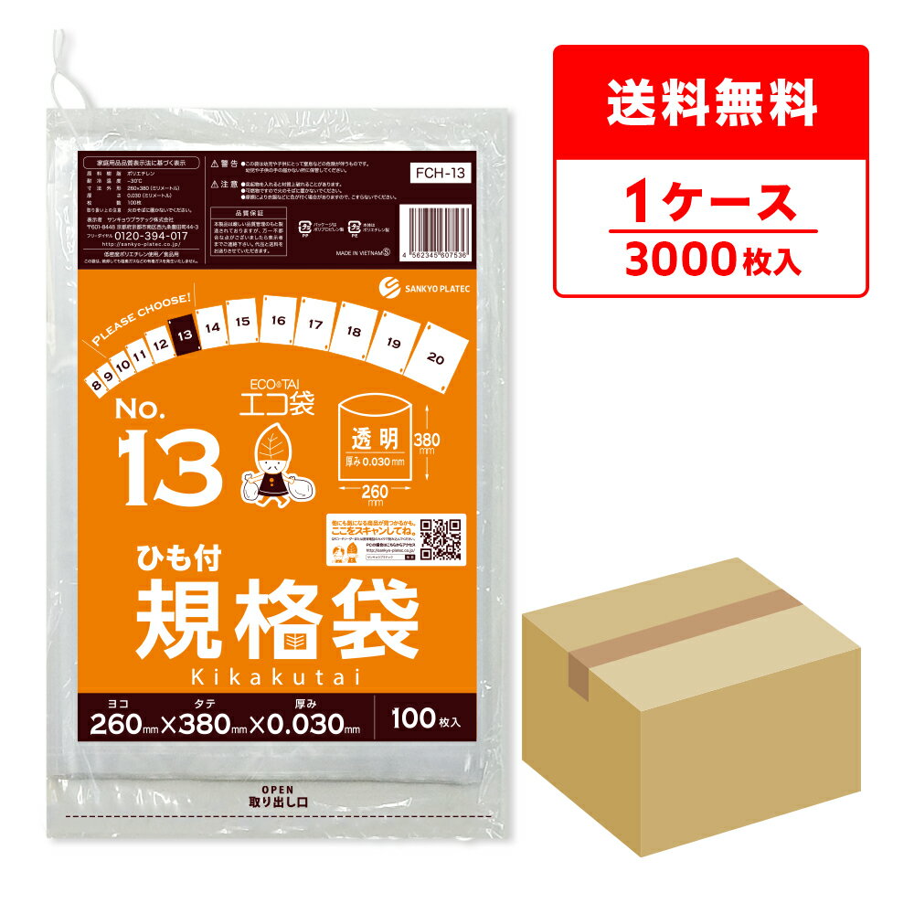 エントリーでP10倍★9日20:00〜16日1:59まで FCH-13 ひも付 規格袋 13号 0.030mm厚 透明 100枚x30冊/ポリ袋 袋 保存袋 食品袋 平袋 食品用 検食 厨房 保育園 食品検査適合 RoHS指定 サンキョウプラテック 送料無料 即納
