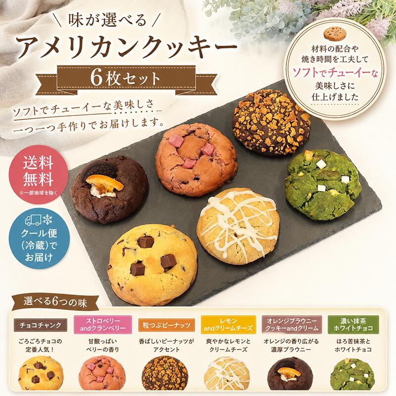 【本日10%OFFクーポン配布中】送料無料 お好きな味を組み合わせ アメリカンクッキー 6種から選べる6枚アソートセット 個包装 お歳暮 お年賀 誕生日 バースデー ギフト プレゼント退職祝い 母の日 父の日 ホワイトデー バレンタインデー 卒業祝い 入学祝い