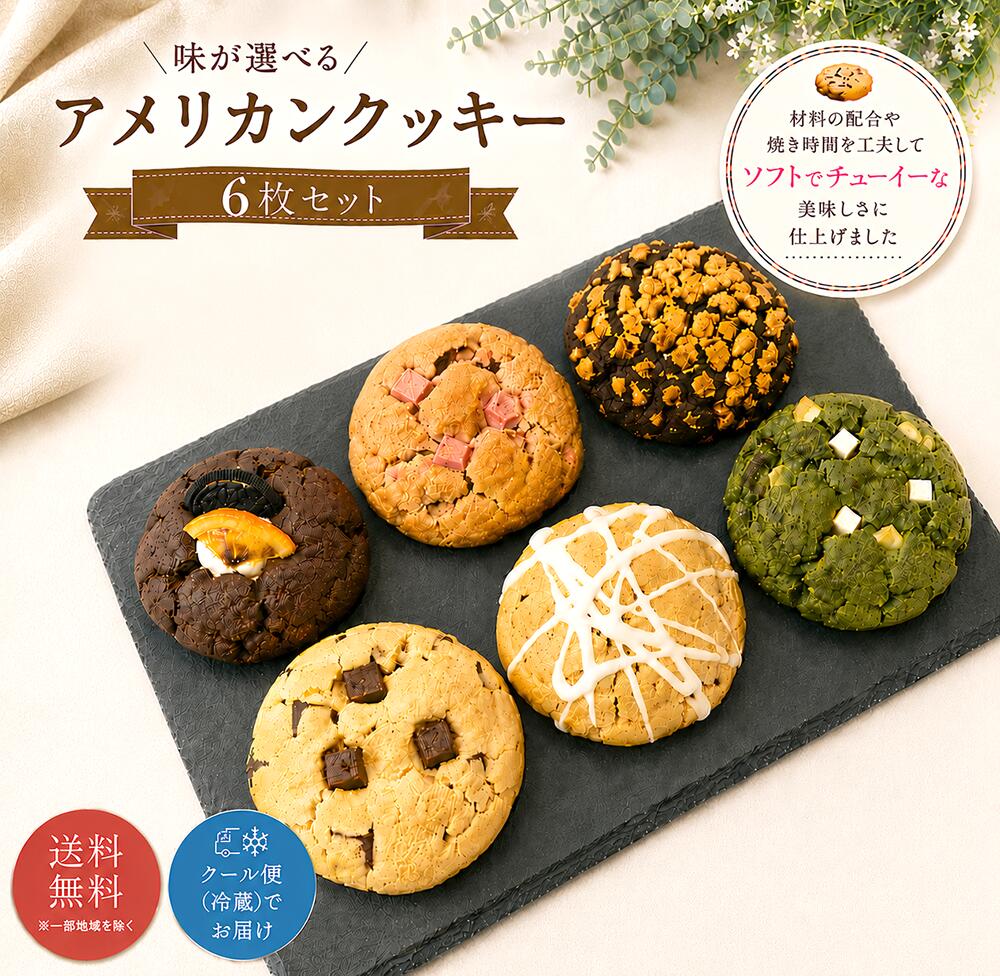 【P10倍&10%OFFクーポン】 送料無料 お好きな味を組み合わせ アメリカンクッキー 6種から選べる6枚アソートセット 個包装 お歳暮 お年賀 誕生日 バースデー ギフト プレゼント退職祝い 母の日 父の日 ホワイトデー バレンタインデー 卒業祝い 入学祝いの商品画像