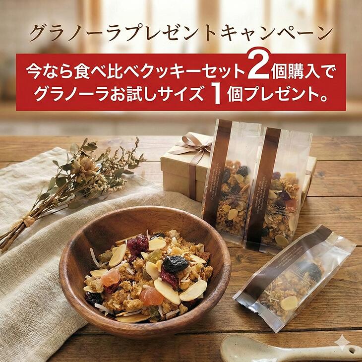 1000円ポッキリ 送料無料 スイーツ 焼き菓子 お買い物マラソン 買い回り お試し 食べ比べ クッキーセット 手作りクッキー バタークッキー チョコチップクッキー 1000ポキ
