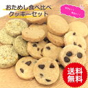 送料無料 お試し 食べ比べ クッキーセット 手作りクッキー バタークッキー チョコチップクッキー