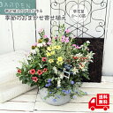 全商品ポイントバック中 最大50%ポイントバック 送料無料 季節のおまかせ 寄せ植え 春 夏 秋 冬 鉢植え 寄せ植え ギフト 敬老の日 誕生日 花色 鉢色 選べる寄せ植え【スーパーセール 半額】 季節の花 鉢花 プレゼント 母の日 お歳暮 花苗 お祝い